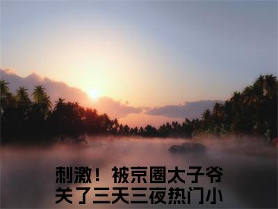 刺激！被京圈太子爷关了三天三夜（宋惜妍江煜）全文免费阅读无弹窗大结局_（刺激！被京圈太子爷关了三天三夜）宋惜妍江煜全文阅读-笔趣阁