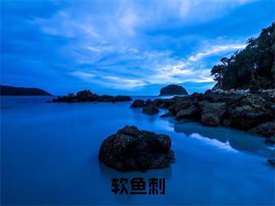 软鱼刺小说最新章节阅读-小说软鱼刺（余温盛闻）已完结小说精彩大结局