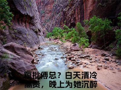 精选小说疯批傅总？白天清冷高贵，晚上为她沉醉（孟薇傅烨寒）全本阅读_孟薇傅烨寒免费阅读_笔趣阁