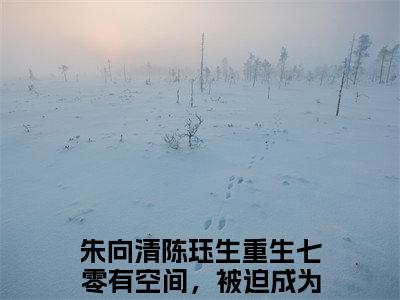 重生七零有空间，被迫成为心机（朱向清陈珏生）老书虫良心推荐小说-重生七零有空间，被迫成为心机（朱向清陈珏生）小说精彩免费试读