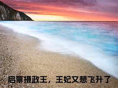 启禀摄政王，王妃又想飞升了（胡周一小说）全文免费阅读无弹窗大结局_胡周一小说免费阅读最新章节列表