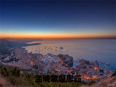 孟晚意盛思航（清风明月苦相思）全文免费阅读无弹窗大结局清风明月苦相思（孟晚意盛思航）