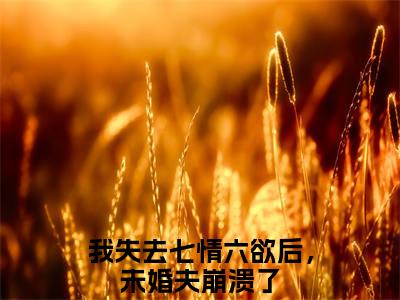 李月湖韩靖小说全文-我失去七情六欲后，未婚夫崩溃了小说免费阅读大结局