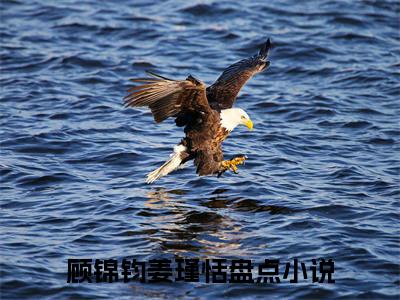 顾锦钧姜瑾恬 顾锦钧姜瑾恬小说全文免费阅读_顾锦钧姜瑾恬最新章节列表笔趣阁
