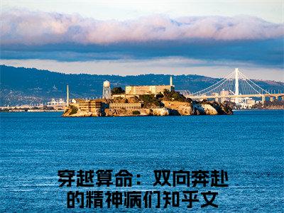 穿越算命：双向奔赴的精神病们小说最新章节阅读-沈知念傅观辞全文免费试读
