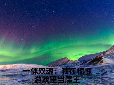 司言无名（一体双魂：我在惊悚游戏里当魔王）小说全文免费阅读正版无弹窗_（一体双魂：我在惊悚游戏里当魔王）免费阅读无弹窗最新章节列表