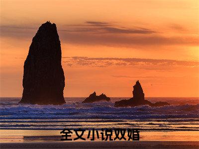 双婚全文免费大结局-童乐宗泽宇结局在线阅读