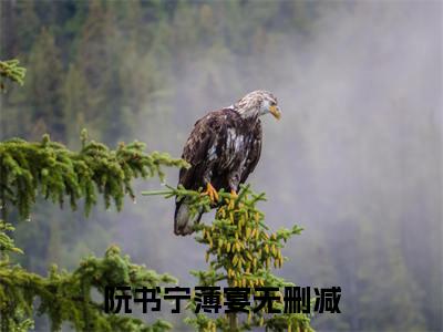 阮书宁薄宴全文免费阅读无弹窗大结局_阮书宁薄宴(阮书宁薄宴)最新章节列表_笔趣阁