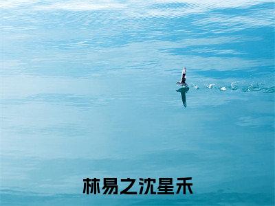 免费+后续星河共赴（林易之沈星禾）快手热推小说主角星河共赴完整版在线阅读