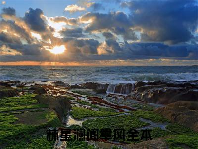 林星澜闻聿风小说全文免费阅读 林星澜闻聿风小说全文在线赏析_笔趣阁