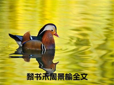 黎书禾周景榆（黎书禾周景榆）全文无弹窗阅读-黎书禾周景榆最新章节完整版阅读