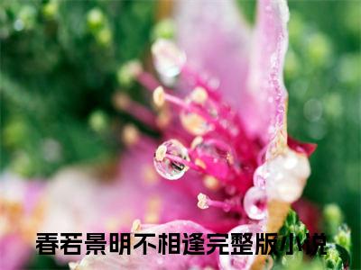 顾景程付明嫣（春若景明不相逢）全文免费阅读无弹窗大结局_（顾景程付明嫣全文阅读）春若景明不相逢无弹窗最新章节列表