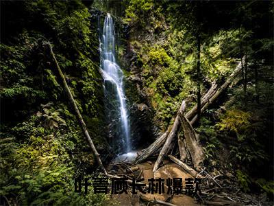 叶青顾长林(叶青顾长林)全文免费阅读无弹窗大结局_叶青顾长林免费阅读无弹窗最新章节列表_笔趣阁