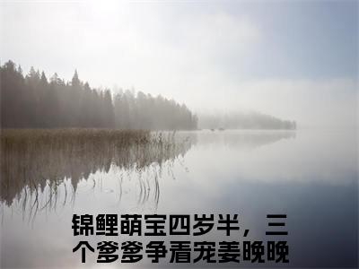 锦鲤萌宝四岁半，三个爹爹争着宠姜晚晚（锦鲤萌宝四岁半，三个爹爹争着宠姜晚晚）小说全文在线阅读_锦鲤萌宝四岁半，三个爹爹争着宠姜晚晚最新章节在线阅读_笔趣阁