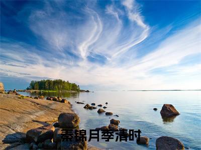 秦锦月季清时小说（秦锦月季清时）热推新书_秦锦月季清时最新章节在线阅读_笔趣阁