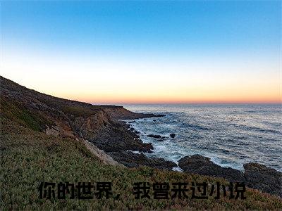 秦止棉陆少寻（你的世界，我曾来过）全文免费阅读无弹窗大结局_秦止棉陆少寻最新章节列表_笔趣阁