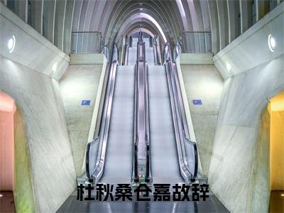 小说全文免费阅读无弹窗大结局_（杜秋桑仓嘉故辞）全文在线阅读