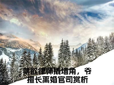禁欲律师撬墙角，爷擅长离婚官司小说免费阅读禁欲律师撬墙角，爷擅长离婚官司小说在哪里可以看