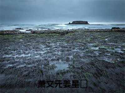 萧文元姜星玥最新更新热门榜单小说（萧文元姜星玥全集小说完整版笔趣阁）萧文元姜星玥全文阅读