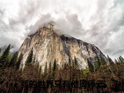 我的世界只有他周停云在线阅读无弹窗_我的世界只有他周停云最新章节列表_笔趣阁