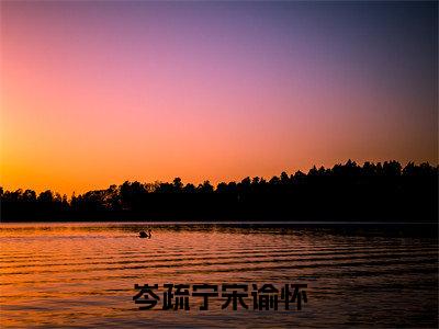 岑疏宁宋谕怀（岑疏宁宋谕怀）最新章节在线阅读-（岑疏宁宋谕怀）小说全文免费阅读