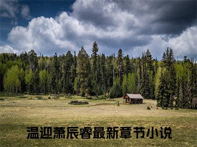 温迎萧辰睿（完整版）热文小说阅读-温迎萧辰睿全文抖音热推