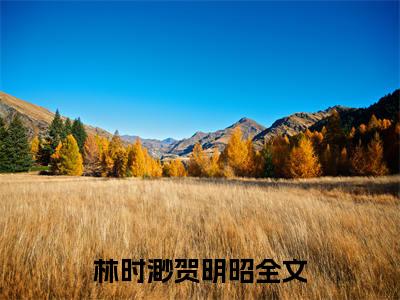 五年了，她却恍如隔世（林时渺贺明昭）免费阅读_林时渺贺明昭小说免费阅读-笔趣阁