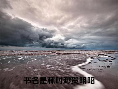 林时渺贺明昭全文免费阅读无弹窗大结局-林时渺贺明昭五年了，她却恍如隔世全文全章节免费阅读