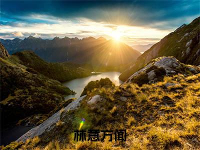 灯火阑珊处热门榜单小说林意方闻完本小说无弹窗免费阅读