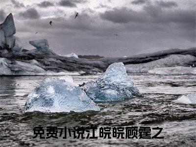 江皖皖顾霆之（江皖皖顾霆之）全文在线阅读无弹窗大结局_（江皖皖顾霆之）江皖皖顾霆之最新章节列表_笔趣阁（江皖皖顾霆之）