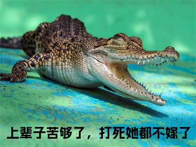 上辈子苦够了，打死她都不嫁了萧渊沈安安小说免费阅读-上辈子苦够了，打死她都不嫁了抖音新书热荐