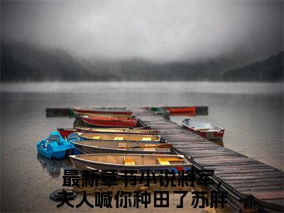 将军，夫人喊你种田了苏胖丫（将军，夫人喊你种田了苏胖丫）最新章节在线阅读-将军，夫人喊你种田了苏胖丫小说完整版阅读