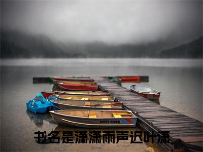 潇潇雨声迟叶潇（潇潇雨声迟叶潇）全文在线阅读免费大结局_潇潇雨声迟叶潇最新章节列表_笔趣阁（潇潇雨声迟叶潇）
