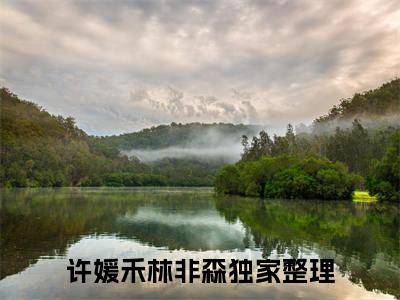 许媛禾林非森小说大结局全文免费阅读-小说排行榜top1小说全文阅读