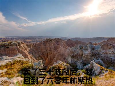 (热推新书)卖了三十栋楼后，我回到了六零年林紫全文免费阅读无弹窗大结局-热推卖了三十栋楼后，我回到了六零年林紫无弹窗阅读卖了三十栋楼后，我回到了六零年林紫在线阅读