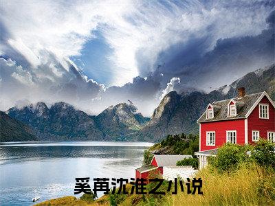 男女主人公叫奚苒沈淮之的小说奚苒沈淮之免费在线