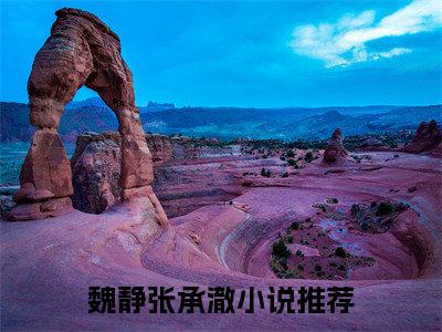 魏静张承澈（魏静张承澈）全文免费阅读无弹窗大结局_魏静张承澈最新章节列表_笔趣阁（魏静张承澈）