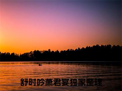 舒时吟萧君宴（舒时吟萧君宴免费小说）全文免费阅读无弹窗大结局_舒时吟萧君宴免费小说最新章节列表_笔趣阁