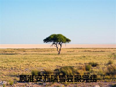 顾淮安苏瑞雪小说（顾淮安苏瑞雪）热推新书_顾淮安苏瑞雪最新章节在线阅读_笔趣阁