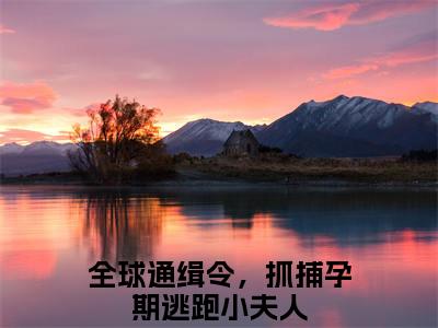 颜鹿时序全文免费阅读_颜鹿时序（全球通缉令，抓捕孕期逃跑小夫人免费阅读无弹窗）全球通缉令，抓捕孕期逃跑小夫人最新章节在线阅读笔趣阁