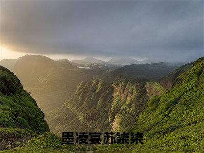 墨凌宴苏柒柒全文免费阅读无弹窗大结局-墨凌宴苏柒柒免费阅读最新章节列表（墨凌宴苏柒柒）