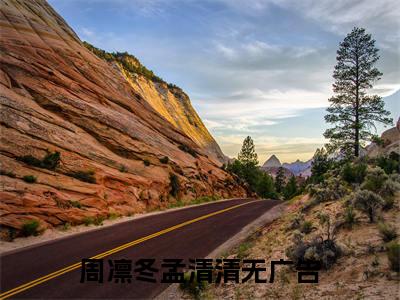 周凛冬孟清清是哪部小说的主角-（周凛冬孟清清）全文无弹窗完整版阅读