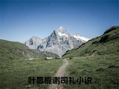 留不住雁阵南渡（叶慕栀谢司礼）全文免费阅读留不住雁阵南渡最新章节小说免费阅读_笔趣阁