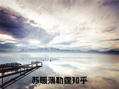 苏暖薄勒霆(苏暖薄勒霆)全文免费阅读无弹窗大结局_苏暖薄勒霆章节列表