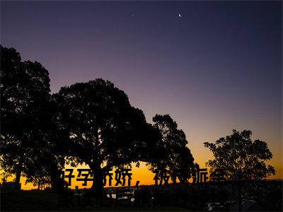 好孕娇娇，被反派全家读心后躺赢乔轻绫完整版（好孕娇娇，被反派全家读心后躺赢乔轻绫小说）全文免费阅读无弹窗大结局_好孕娇娇，被反派全家读心后躺赢乔轻绫最新章节（好孕娇娇，被反派全家读心后躺赢乔轻绫小说）