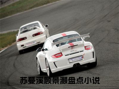 苏蔓溪顾景灏全本资源免费阅读结局无删节-苏蔓溪顾景灏小说全文阅读无弹窗