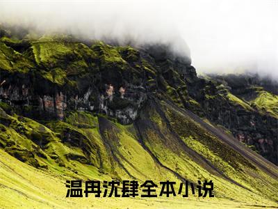 温冉沈肆（温冉沈肆）全文免费阅读无弹窗_温冉沈肆最新小说_笔趣阁（温冉沈肆）