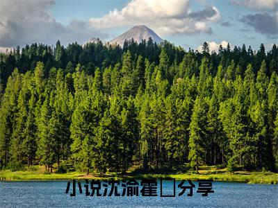 沈渝霍暻（沈渝霍暻）全文免费阅读无弹窗_沈渝霍暻全文免费阅读最新章节大结局_