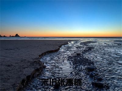 顾倾歌夜锦枭（宋旧张嘉楠）全文免费阅读无弹窗大结局_顾倾歌夜锦枭热门小说最新章节阅读