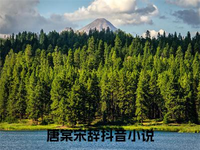 一口蜜糖（唐棠宋辞）全文免费阅读无弹窗大结局_（唐棠宋辞小说免费阅读）最新章节列表_笔趣阁